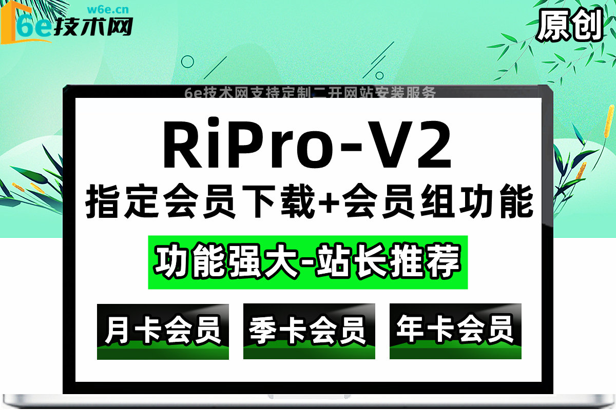 RiPro-V2【指定某个会员下载+多会员组功能】强大功能-具体介绍可看下面说明-陌佑网旗下