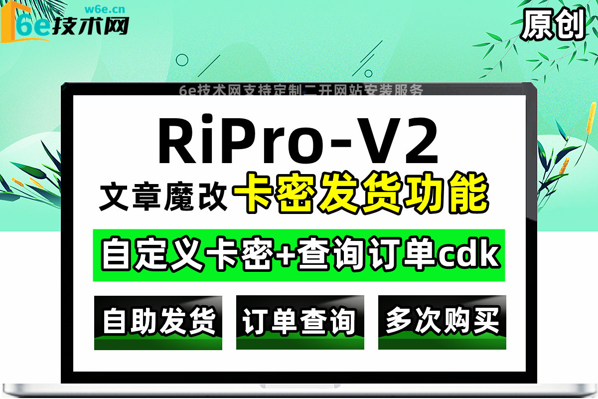 RiPro-V2主题【自动卡密发货+查询订单功能】支持自定义文字-链接-直观明了-非常实用-陌佑网旗下