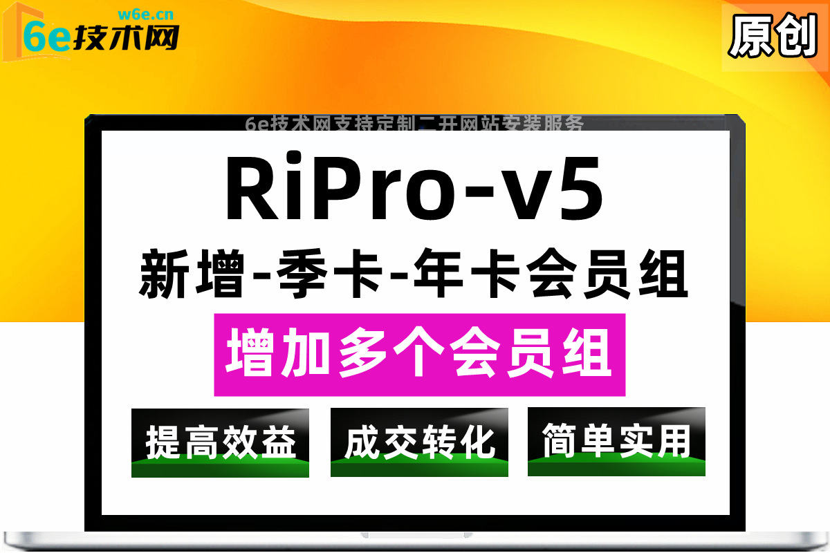 RiPro-V5日主题-【季卡-年卡会员组】精简版会员模块-支持自定义-名称，价格，开通时长设置-陌佑网旗下