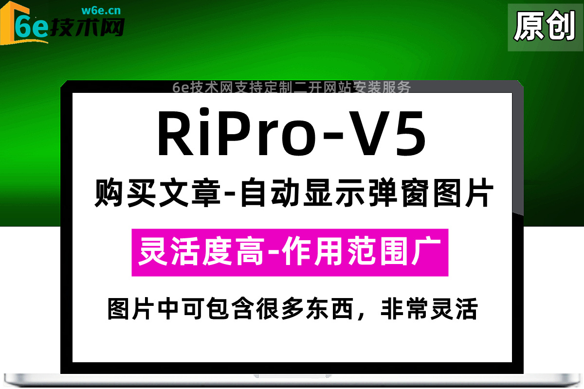 RiPro-V5-【购买文章-自动显示弹窗图片】-每篇文章可自定义上传弹窗中的图片-灵活度高-陌佑网旗下-官网